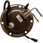 Order Fuel Pump Module Assembly by DELPHI - FG0946 For Your Vehicle