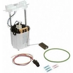 Order Fuel Pump Module Assembly by DELPHI - FG2479 For Your Vehicle