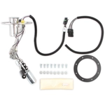 Order Fuel Pump Module Assembly by HOLLEY - 12-313 For Your Vehicle