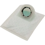 Order Fuel Pump Strainer by AUTOBEST - F242S For Your Vehicle