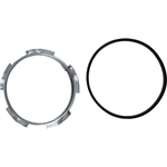 Order AGILITY - 4060009 - Fuel Pump Tank Seal For Your Vehicle