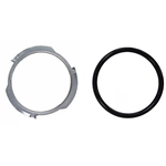 Order AGILITY - 4060066 - Fuel Pump Tank Seal For Your Vehicle