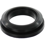 Order AGILITY - 4060079 - Fuel Pump Tank Seal For Your Vehicle