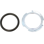 Order Fuel Pump Tank Seal by AGILITY - 4060115 For Your Vehicle