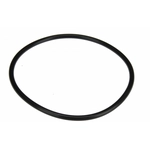 Order AUTOTECNICA - CY0516171 -  Fuel Pump O-Ring For Your Vehicle