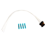 Order Fuel Tank Connector by ACDELCO - PT3833 For Your Vehicle