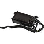 Order Fuel Vapor Storage Canister by BLUE STREAK (HYGRADE MOTOR) - CP3427 For Your Vehicle
