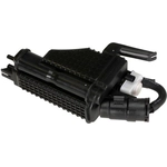 Order Fuel Vapor Storage Canister by BLUE STREAK (HYGRADE MOTOR) - CP3706 For Your Vehicle