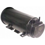 Order Fuel Vapor Storage Canister by BLUE STREAK (HYGRADE MOTOR) - CP3087 For Your Vehicle