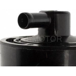 Order Fuel Vapor Storage Canister by BLUE STREAK (HYGRADE MOTOR) - CP3115 For Your Vehicle
