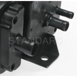 Order Fuel Vapor Storage Canister by BLUE STREAK (HYGRADE MOTOR) - CP3161 For Your Vehicle