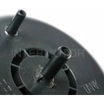 Order Fuel Vapor Storage Canister by BLUE STREAK (HYGRADE MOTOR) - CP3169 For Your Vehicle