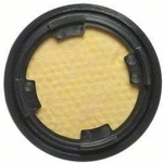 Order Fuel Vapor Storage Canister by BLUE STREAK (HYGRADE MOTOR) - CP3171 For Your Vehicle