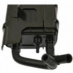 Order Cartouche de stockage des vapeurs de carburant de BLUE STREAK (HYGRADE MOTOR) - CP3441 For Your Vehicle