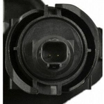 Order Fuel Vapor Storage Canister by BLUE STREAK (HYGRADE MOTOR) - CP3455 For Your Vehicle