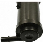 Order Fuel Vapor Storage Canister by BLUE STREAK (HYGRADE MOTOR) - CP3555 For Your Vehicle
