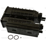 Order Fuel Vapor Storage Canister by BLUE STREAK (HYGRADE MOTOR) - CP3568 For Your Vehicle