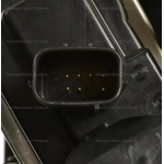 Order Fuel Vapor Storage Canister by BLUE STREAK (HYGRADE MOTOR) - CP3575 For Your Vehicle