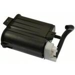 Order Fuel Vapor Storage Canister by BLUE STREAK (HYGRADE MOTOR) - CP3582 For Your Vehicle