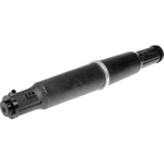 Order Fuel Vapor Storage Canister by DORMAN (OE SOLUTIONS) - 911-311 For Your Vehicle