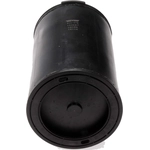 Order Fuel Vapor Storage Canister by DORMAN (OE SOLUTIONS) - 911478 For Your Vehicle