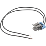 Order BLUE STREAK (HYGRADE MOTOR) - HP4750 - Gauge Connector For Your Vehicle