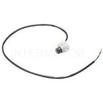 Order General Purpose Switch by BLUE STREAK (HYGRADE MOTOR) - DS3151 For Your Vehicle