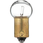 Order PHILIPS - 57CP - Lumière de boîte à gants (paquet de 10) For Your Vehicle