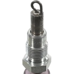 Order Glow Plug by CHAMPION SPARK PLUG - 161 For Your Vehicle