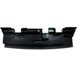 Order Grille Air Deflector - NI1218114 For Your Vehicle