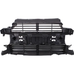 Order Grille Air Intake Assembly - FO1206102C For Your Vehicle