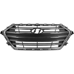 Order Grille Assembly - HY1200200 For Your Vehicle