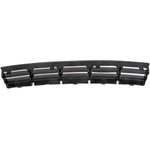 Order Grille Insert by DORMAN/HELP - 45167 For Your Vehicle