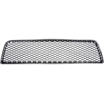 Order Grille Insert by DORMAN/HELP - 45171 For Your Vehicle