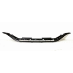 Order Various Manufacturers - HO1210140 - Grille Molding For Your Vehicle