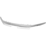 Order Grille Molding - HO1210158C For Your Vehicle