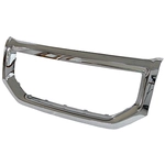 Order Grille Surround - HO1202106C Capa Certified For Your Vehicle