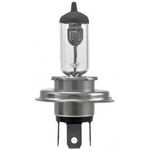 Order HELLA - H4 24V 100/90W - Halogen Bulb For Your Vehicle