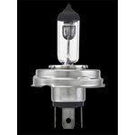 Order Halogen Bulb by HELLA - H4 P45T For Your Vehicle