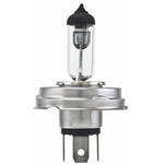 Order HELLA - H4 P45T - Halogen Bulb For Your Vehicle