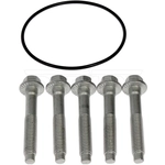 Order Qquincaillerie de DORMAN (OE SOLUTIONS) - 926-127 For Your Vehicle