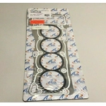 Order Head Gasket by APEX AUTOMOBILE PARTS - AHG548 For Your Vehicle