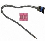 Order Headlamp Connector by BLUE STREAK (HYGRADE MOTOR) - S1647 For Your Vehicle