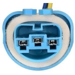Order Connecteur lumière de plafonnier de BLUE STREAK (HYGRADE MOTOR) - S1915 For Your Vehicle