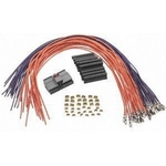 Order Headlamp Connector by BLUE STREAK (HYGRADE MOTOR) - S1919 For Your Vehicle