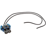 Order BWD AUTOMOTIVE - PT255 - Headlight Connector For Your Vehicle