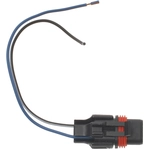 Order BWD AUTOMOTIVE - PT343 - Fog Light Connecteur For Your Vehicle