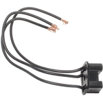 Order BWD AUTOMOTIVE - PT92 - Headlight Connector For Your Vehicle