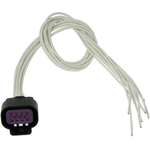Order Connecteur lumière de plafonnier par DORMAN/TECHOICE - 645-800 For Your Vehicle