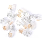 Order ACDELCO - 13503363 - Halogen Bulb For Your Vehicle